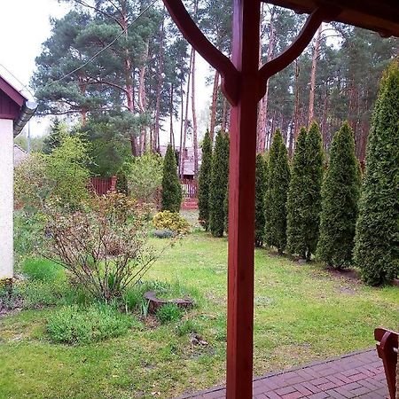 Drzewosfera Apartment Wilcze  Bagian luar foto