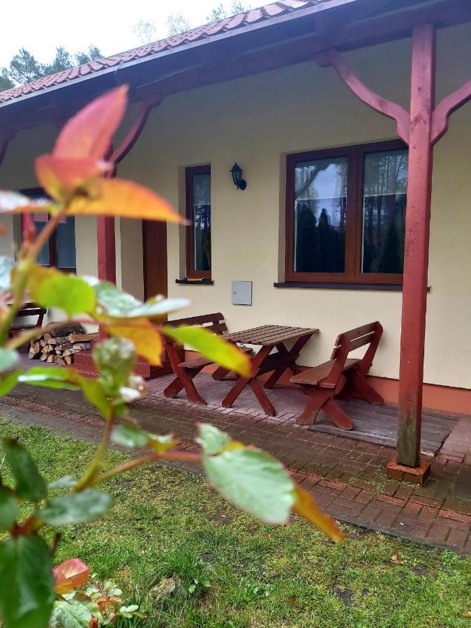 Drzewosfera Apartment Wilcze  Bagian luar foto