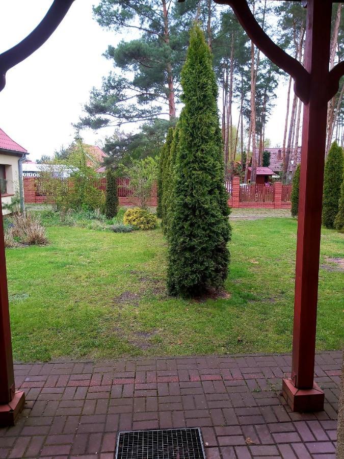 Drzewosfera Apartment Wilcze  Bagian luar foto